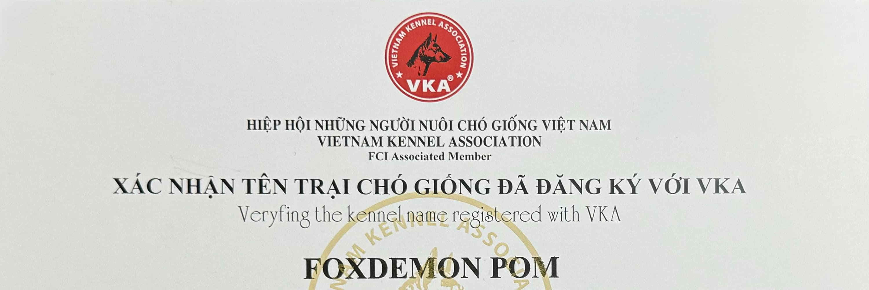 Chứng nhận Hiệp hội những người nuôi chó giống Việt Nam (VKA) cho trại Foxdemon Pom